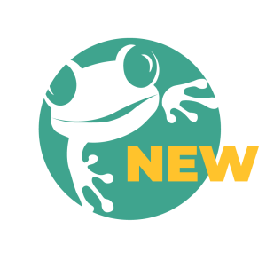 New website design Broome